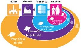 Biến rác thải thành gia tài: Cơ hội nào cho chúng ta trong nền kinh tế tuần hoàn?